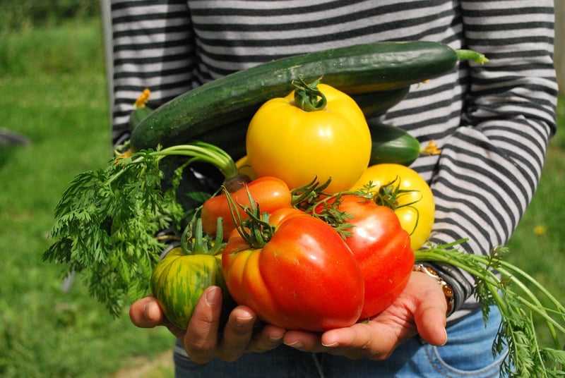 Vertical Vegetable Gardens